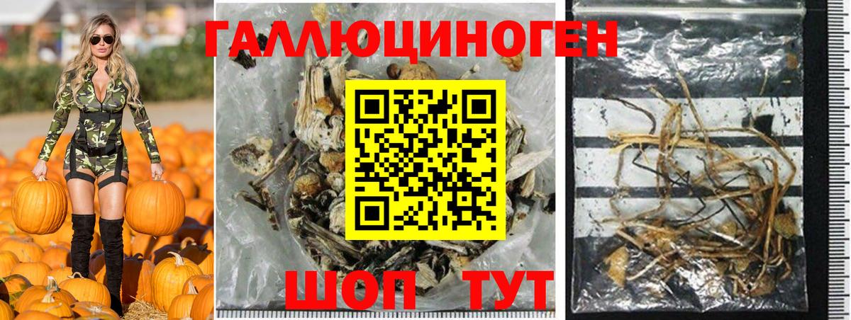 Галлюциногенные грибы прущие грибы Тобольск