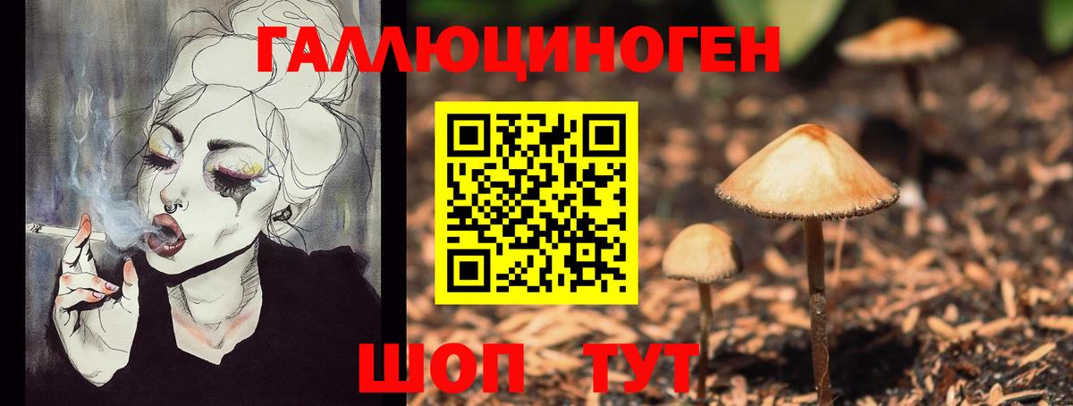 Тобольск  Псилоцибиновые грибы GOLDEN TEACHER  Вход с VPN 